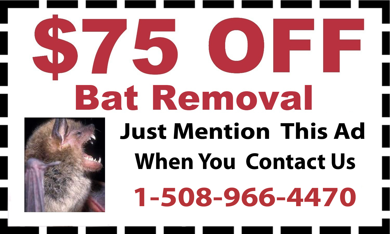 Bat Removal Coupon Bat Removal Cumberland, MA