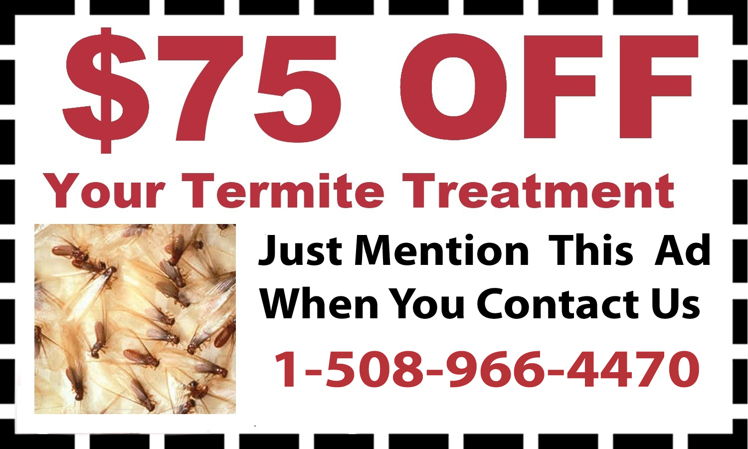 Termite Control Coupon Cumberland, MA Termite Control Coupon