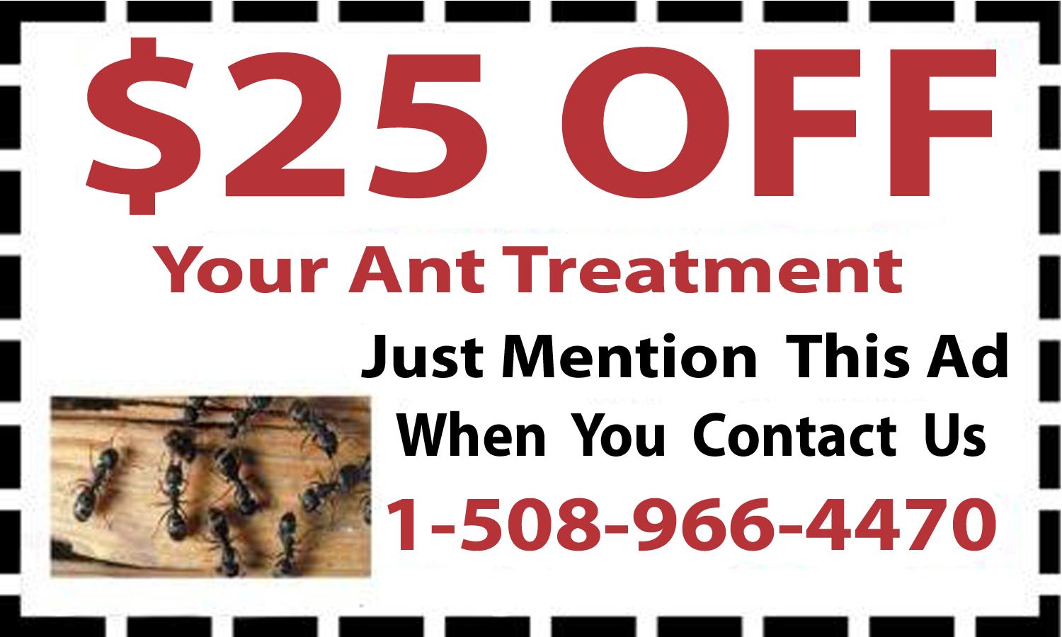 Ant Removal Coupon Cumberland, MA Ant Removal Coupon