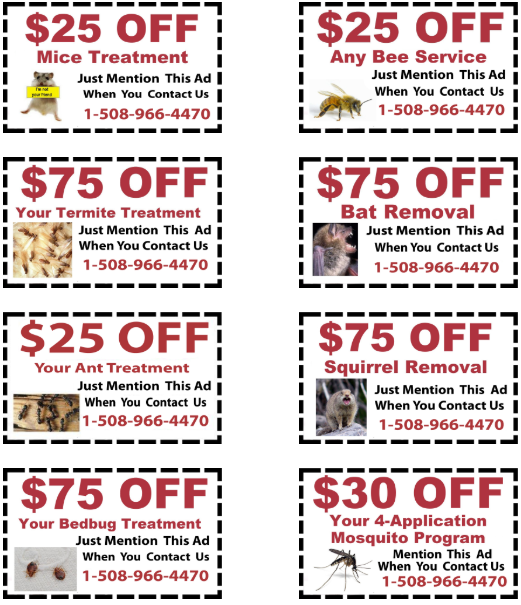 Discount Pest Control Blackstone, MA