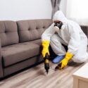 Pest Control Specialist Working to Eliminate Infestation
