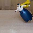 dry cleaning of an old white mattress that bed bugs