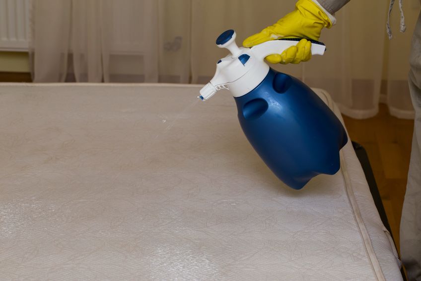 dry cleaning of an old white mattress that bed bugs